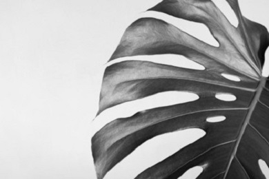 拍攝方案設(shè)計(jì)